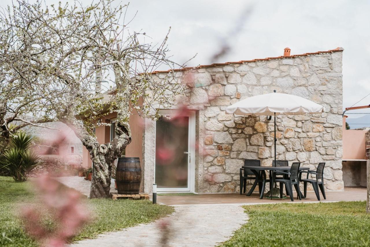 Forno House - Ameixoeira Vila Praia de Ancora Luaran gambar